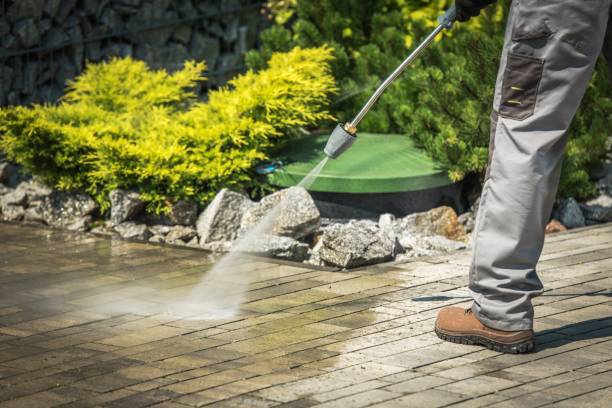 Best Winterizing Services  in Forest City, FL